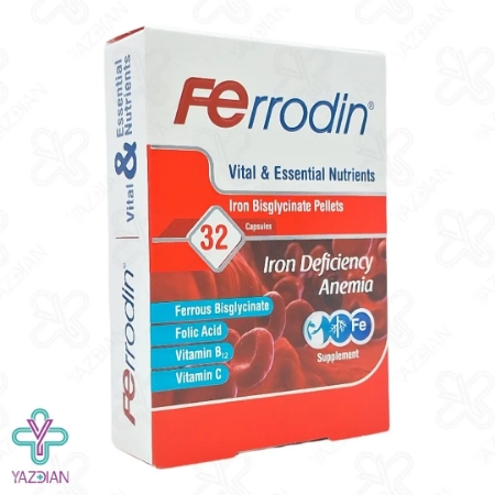 کپسول آهن فرودین هولیستیکا - 32عددی	